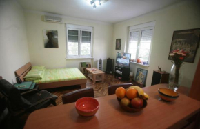 Apartment Starshine